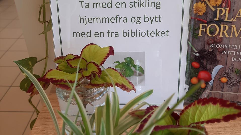 Lenke til artikkel: Stiklingbytte