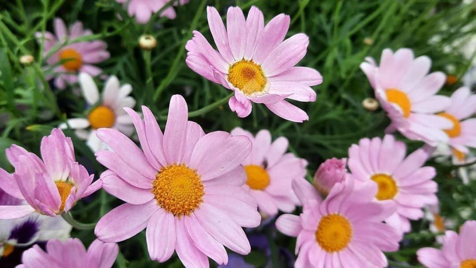 Lenke til artikkel: Sommeråpningstider