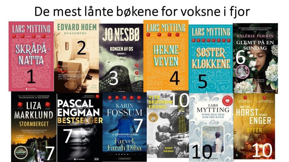 Lenke til artikkel: Utlånstoppen for 2024 for voksne