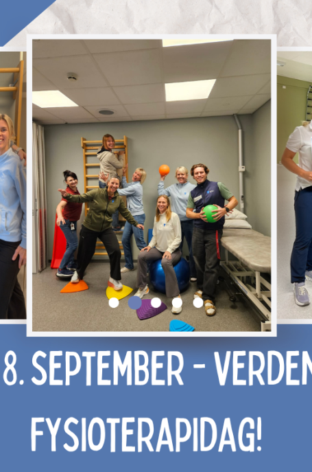 Lenke til artikkel: 8. september er verdens fysioterapidag!