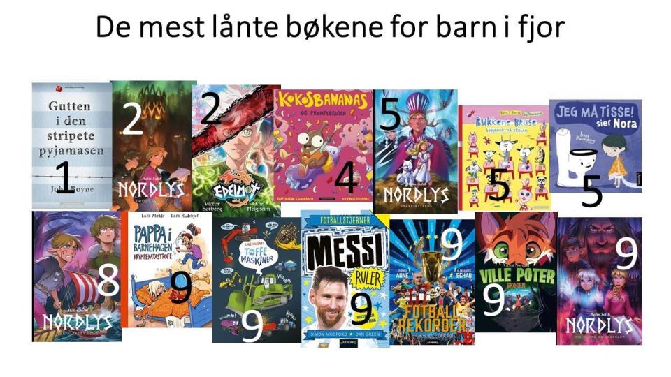 Lenke til artikkel: Utlånstoppen for 2024 for barn og ungdom