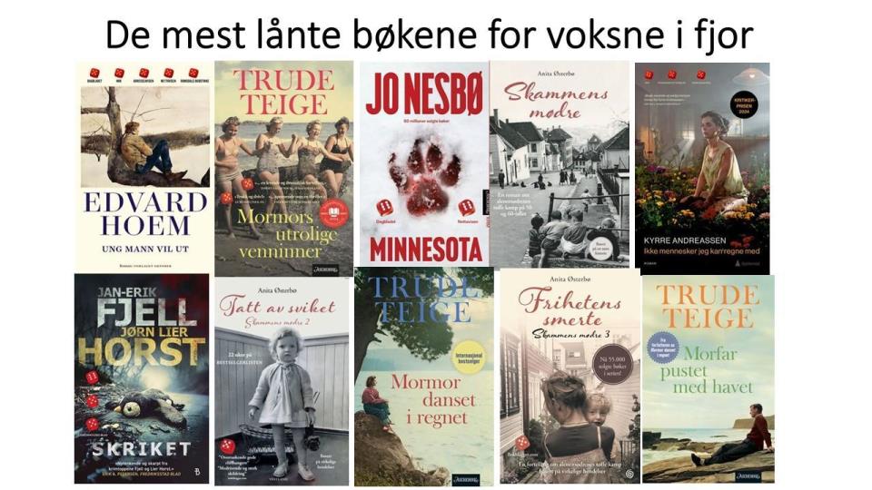 Lenke til artikkel: Utlånstoppen 2025 - voksenbøker