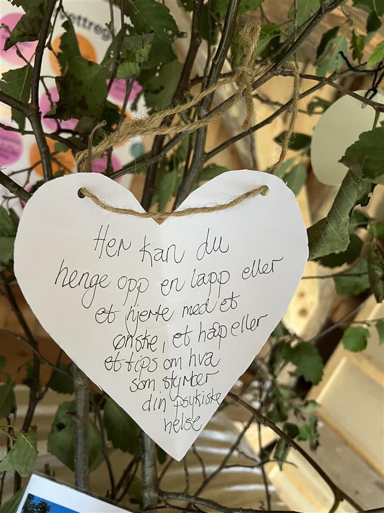 Klikk for stort bilde