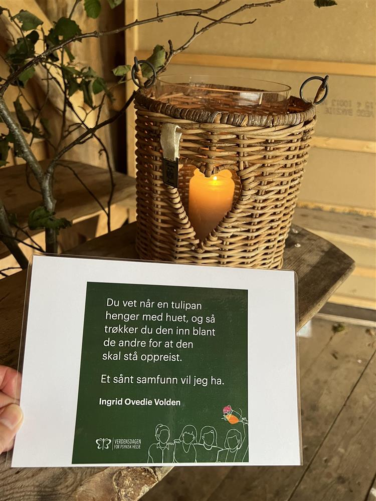 Klikk for stort bilde