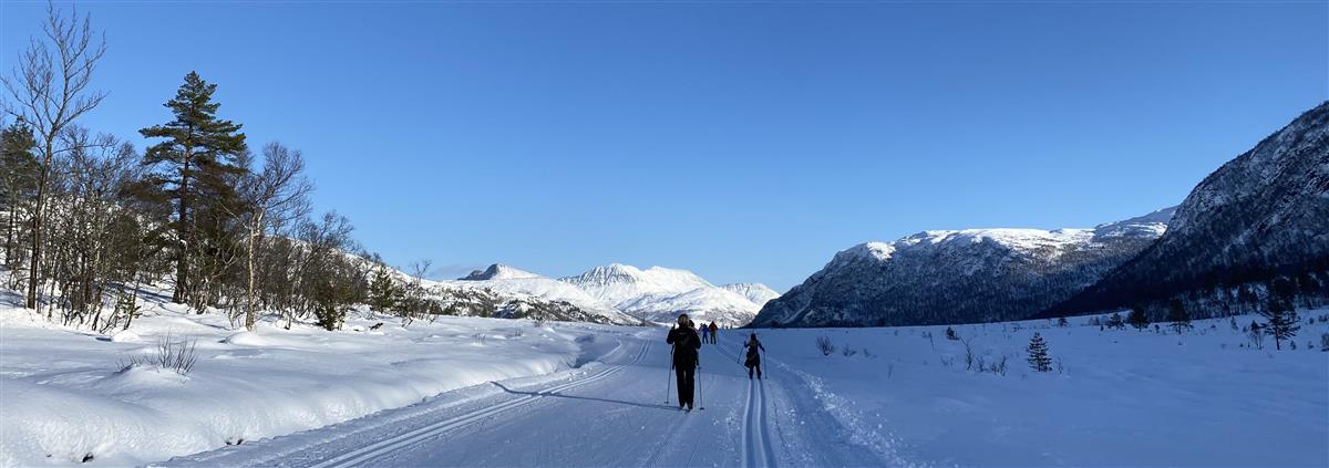 Bilde fra skitur på Skaret - Klikk for stort bilde