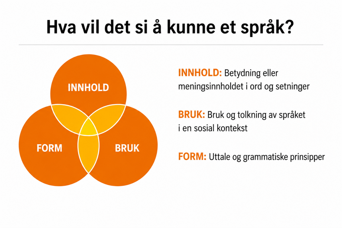 Illustrasjon - Klikk for stort bilde