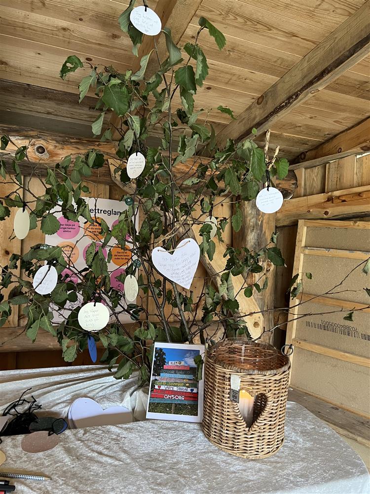 Klikk for stort bilde